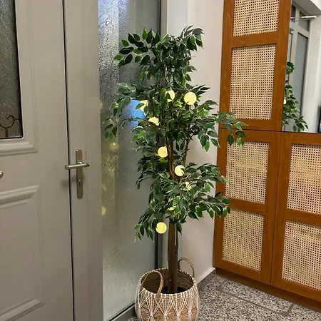 Georgia Seaview B3 칼라마타